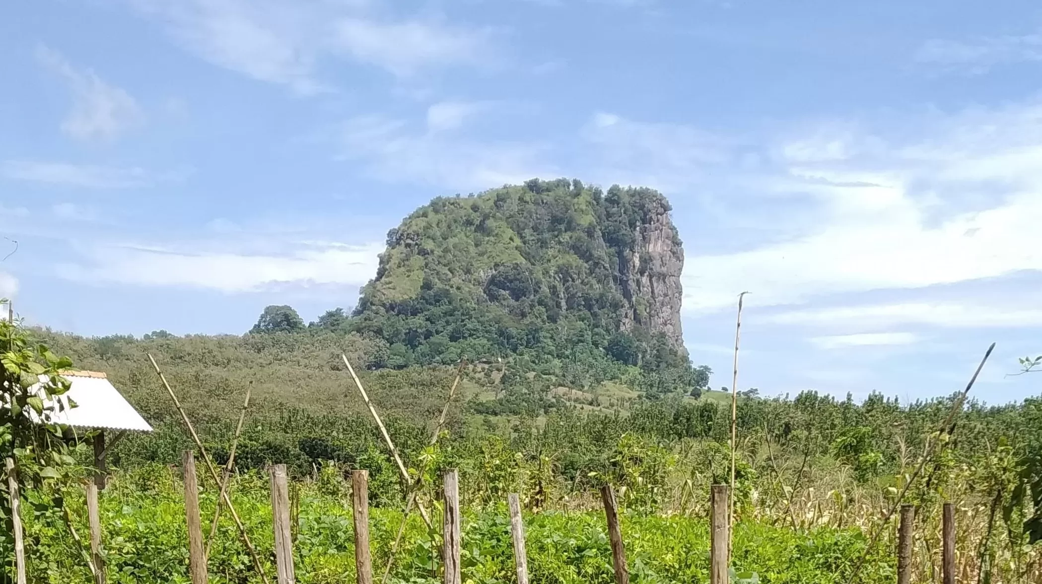 Gunung Gajah